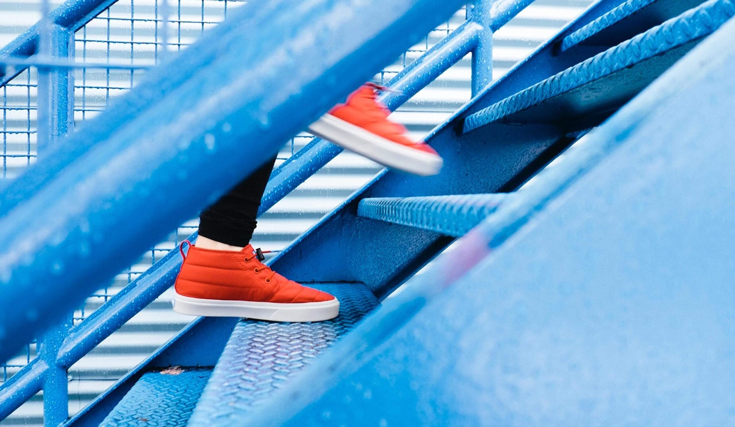 The First Steps to Compliance — Understanding Notice and Disclosure Requirements
